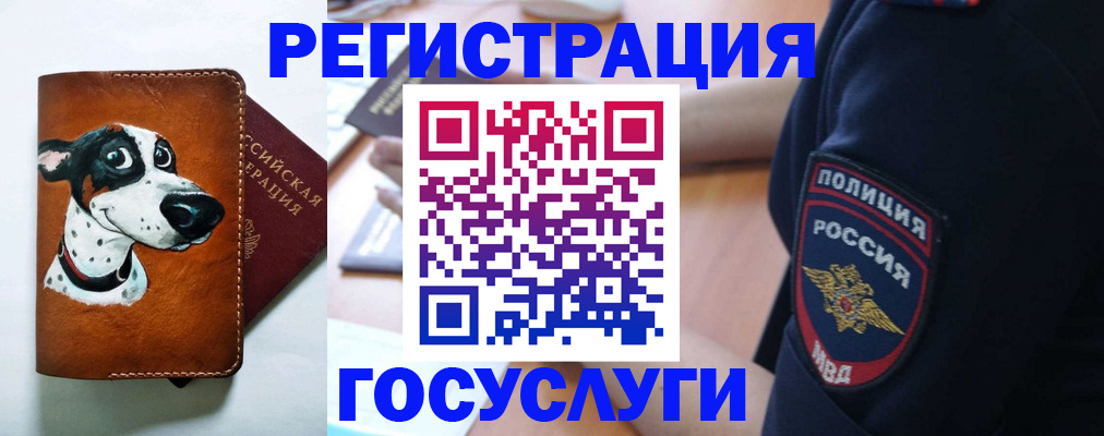 временная регистрация в квартире в Новоузенске